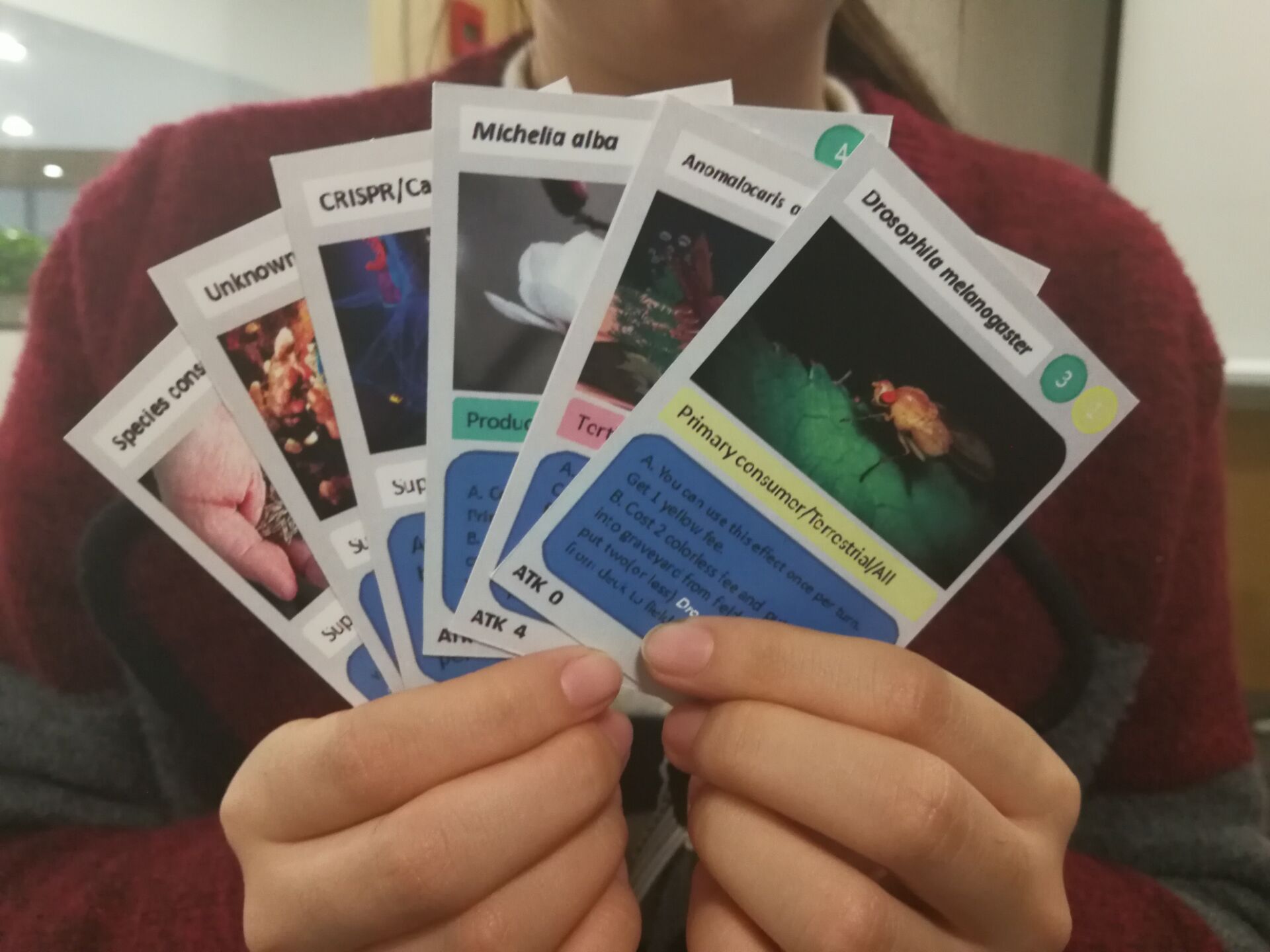 2017 Tongji HP Cards.jpeg
