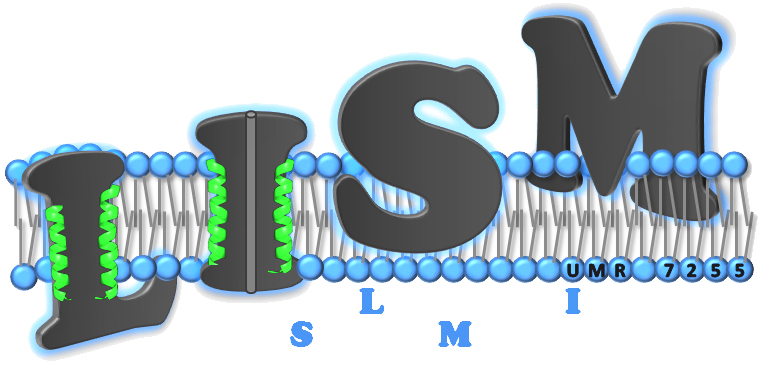 T--Aix-Marseille--sponsor-lism.png