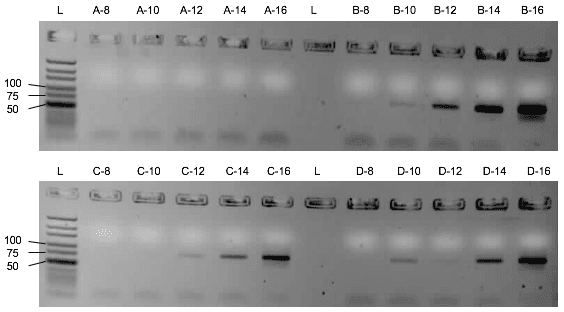 D3 library PCR inhibition with GTFC