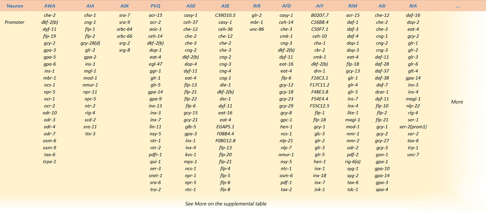 T--SUSTech Shenzhen--Neuron Model-table1-.jpg