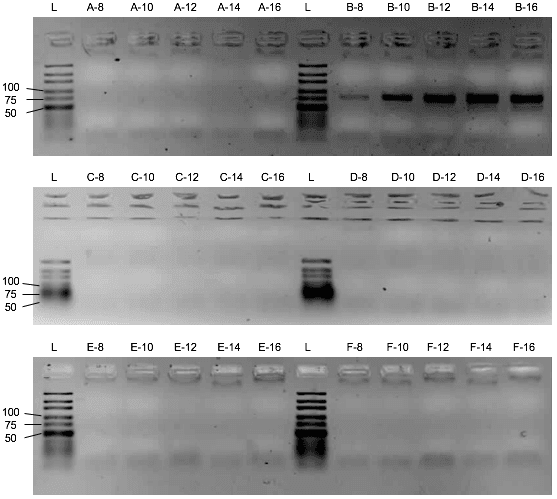 D3 library PCR inhibition with Mondelli buffer